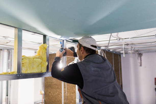 Best Eco-Friendly Insulation in Sea Cliff, NY